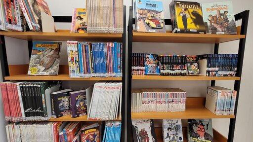 Die Stadtbücherei Erbach im Odenwald hält für euch eine Vielzahl an Klassischen und aktuellen Comics sowie Mangas bereit.